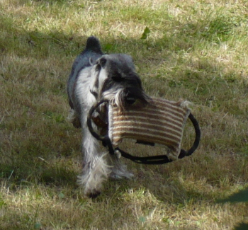 7. vybojovaný pešek